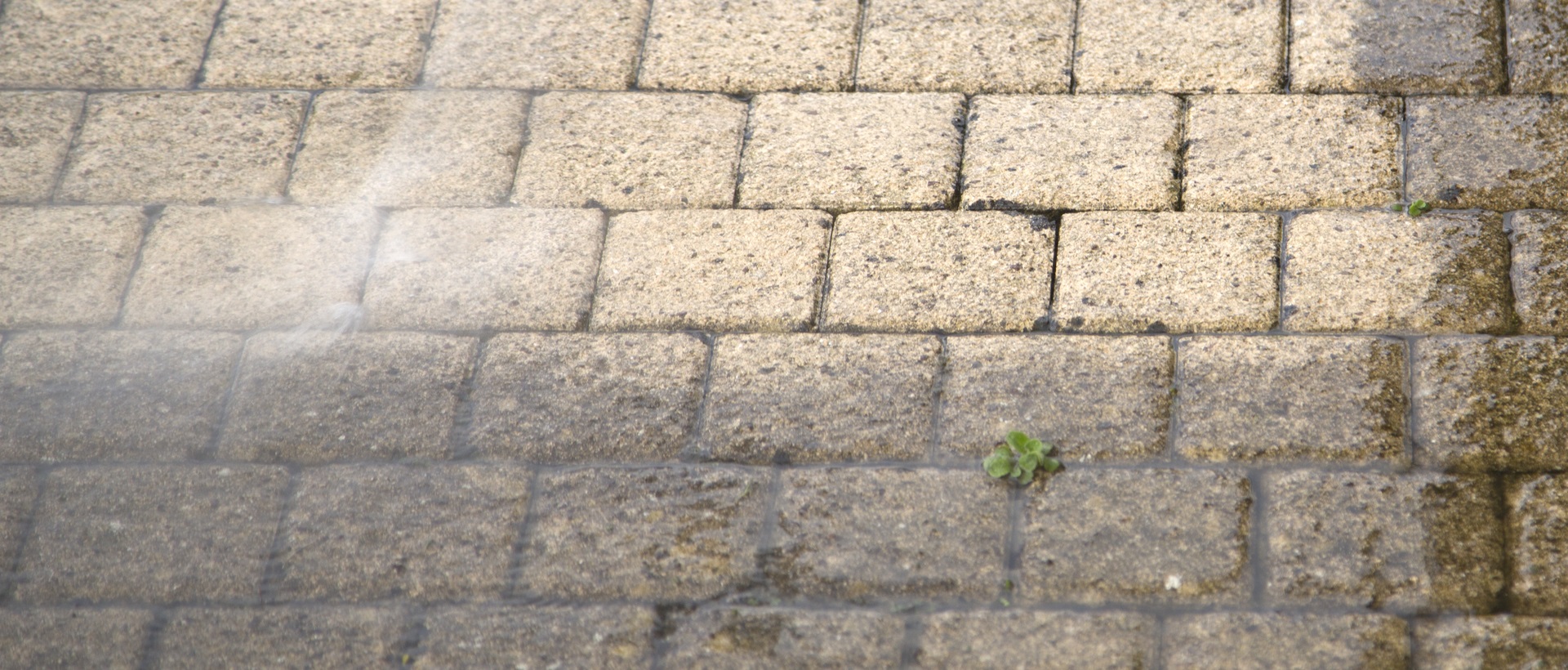 flagging and patios N12