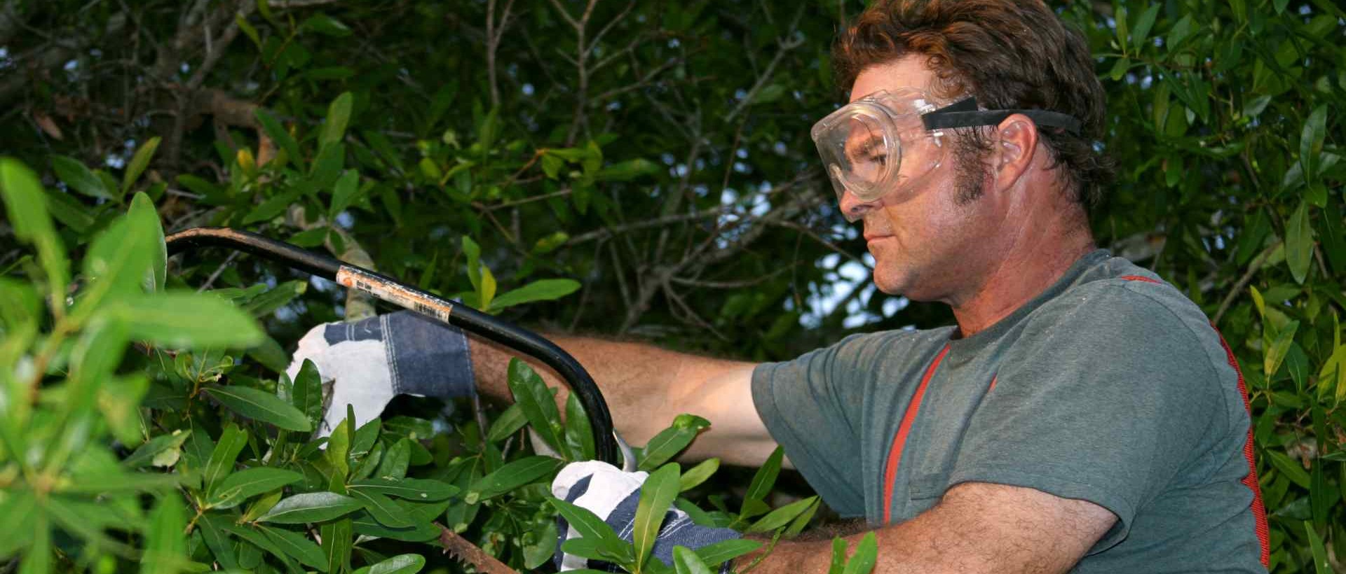 garden clearance N12